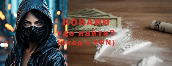 гашик Алексин