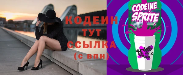 гашик Алексин