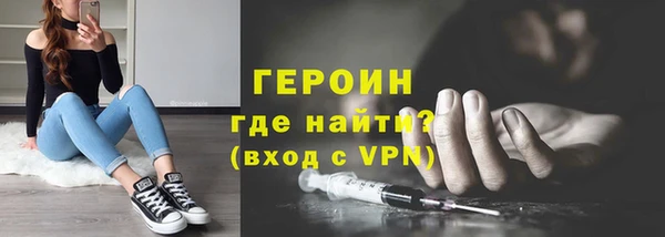 гашик Алексин