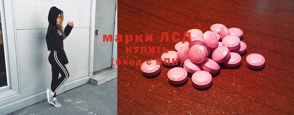 гашик Алексин