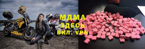 гашик Алексин