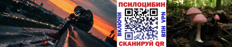 гидра ссылки  Камешково  Галлюциногенные грибы мухоморы 